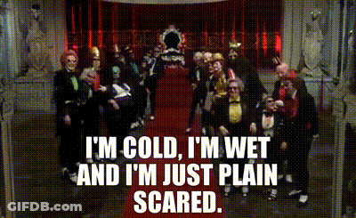 Muppets In Pirate Costumes On Stage GIF