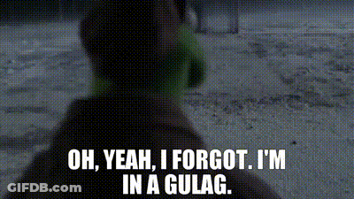 Muppets Kermit The Frog GIF