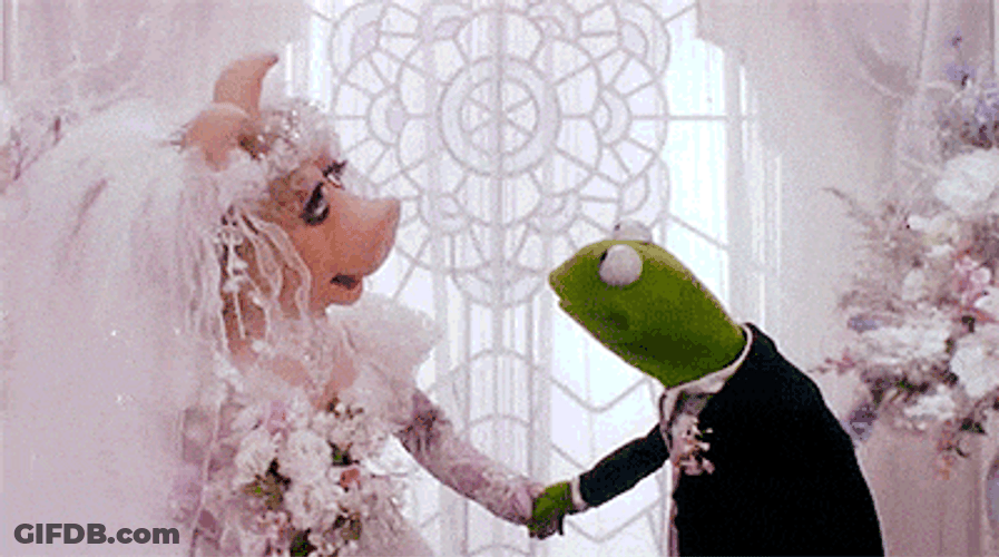 Muppets Miss Piggy And Kermit The Frog Marriage GIF