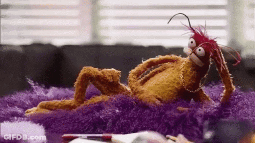 Muppets Pepe The King Prawn Relaxing GIF