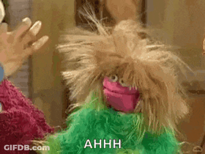 Muppetwiki Muppet Wiki GIF
