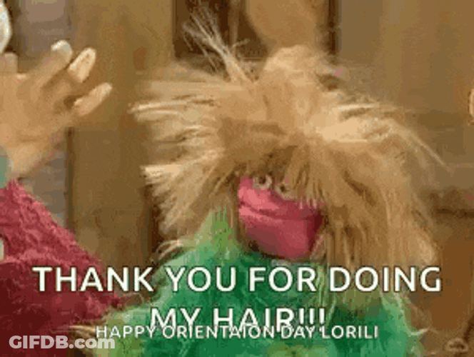 Muppetwiki Muppet Wiki GIF