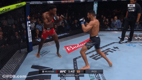 Murphy Fighting Pico In UFC Fight GIF