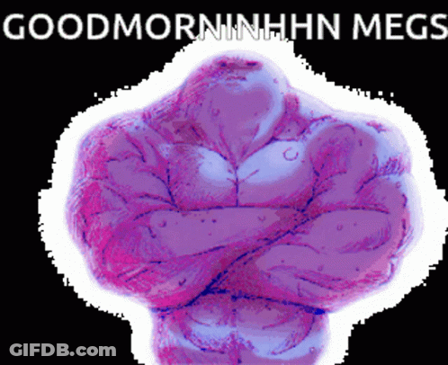 Muscle Man Good Morning Hin Megs GIF