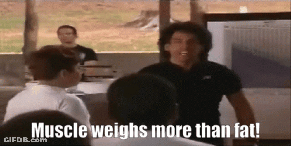Muscle Weights More Than Fat Heavyweights GIF