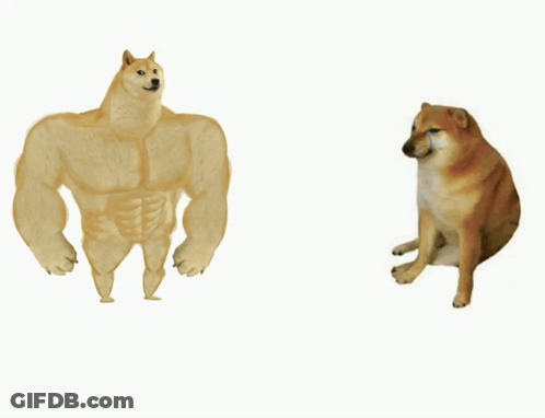 Muscular Dog Standing Next To Another Dog GIF