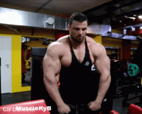 Muscular Man In Gym With Muscleryb GIF