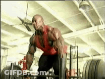 Muscular Man Lifting Barbell In Gym GIF