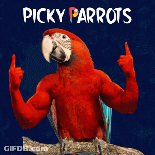 Muscular Parrot Picky Parrots GIF
