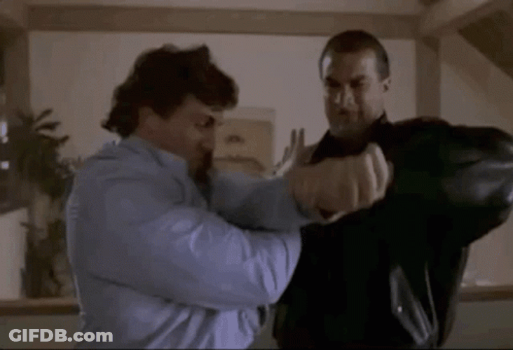 Muscular Steven Seagal Breaking Bones GIF