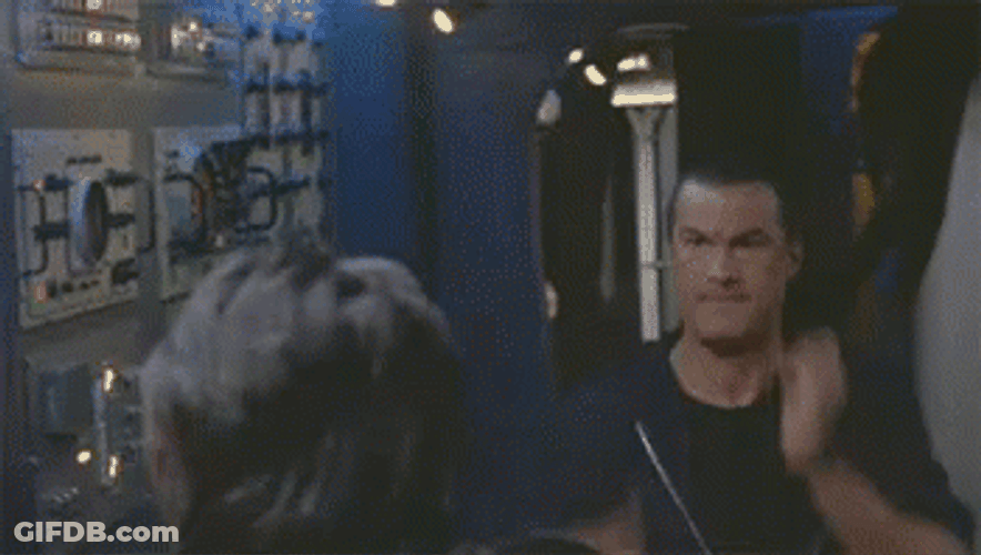 Muscular Steven Seagal Fighting GIF