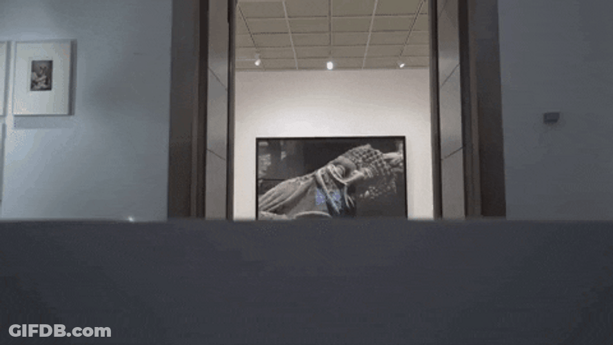 Museum Displaying A Painting GIF