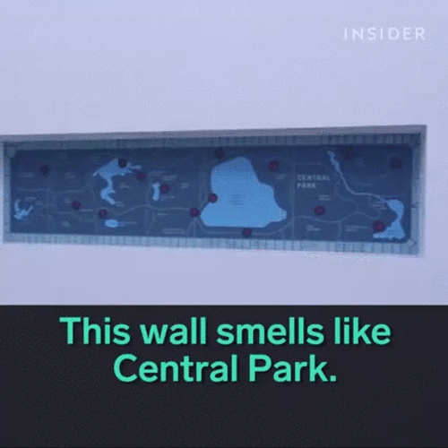 Museum Location In Map GIF
