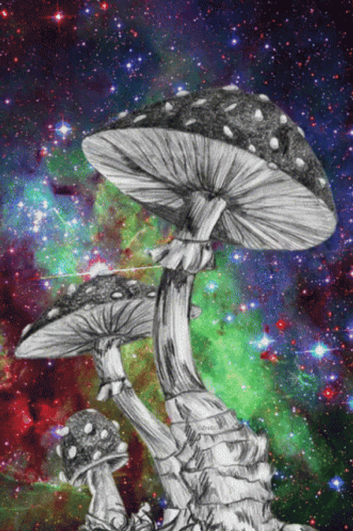 Mushroom Colorful Galaxy Background GIF