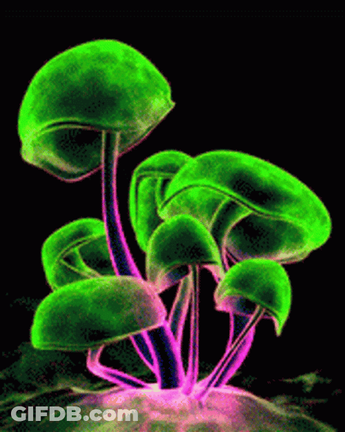 Mushroom Neon Color Cloud GIF