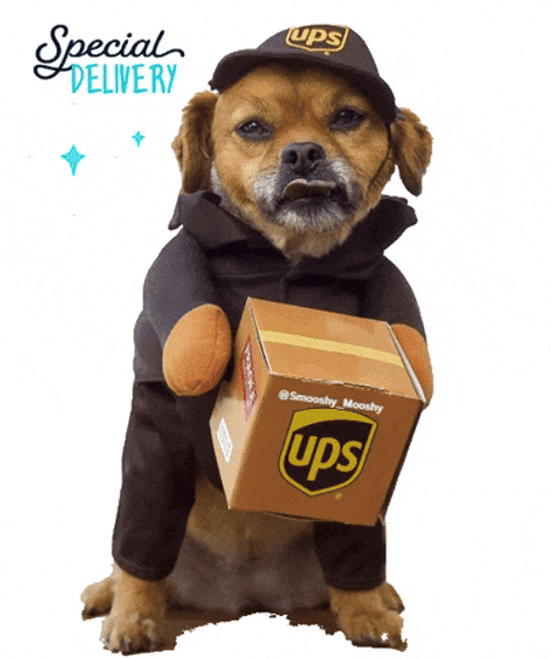 Mushu Dpg Holding A Box GIF