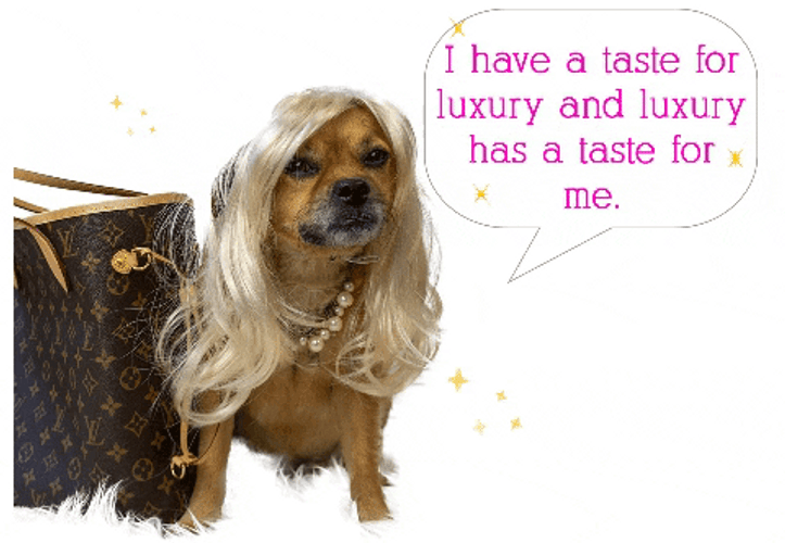 Mushu I Have A Taste For Luxury GIF