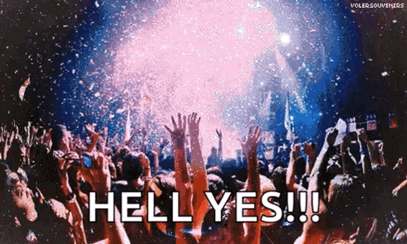Music Festival Concert GIF