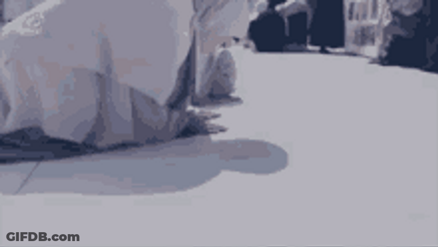 Muslim Woman Prostrating GIF