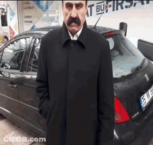 Mustached Man By Car License GS WM 966 GIF