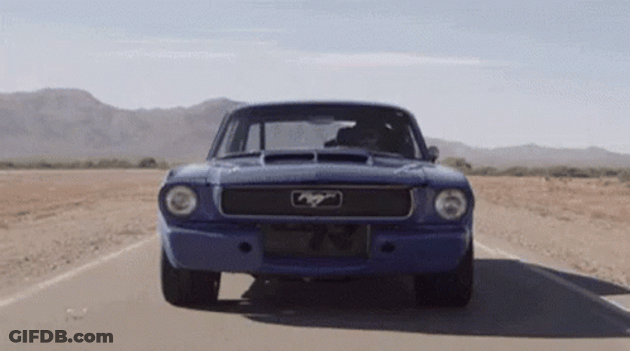 Mustang Ford Different Kinds GIF
