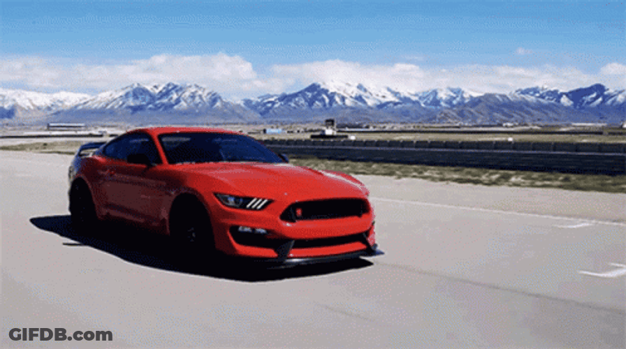 Mustang Ford GT350R GIF