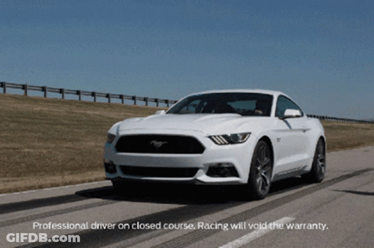 Mustang Ford Professional Driver GIF