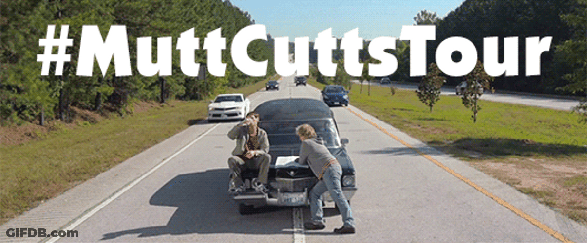 Mutt Cutts Scooter Tour Dumb And Dumber GIF