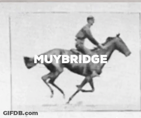Muybridge Horse Riding Photo GIF