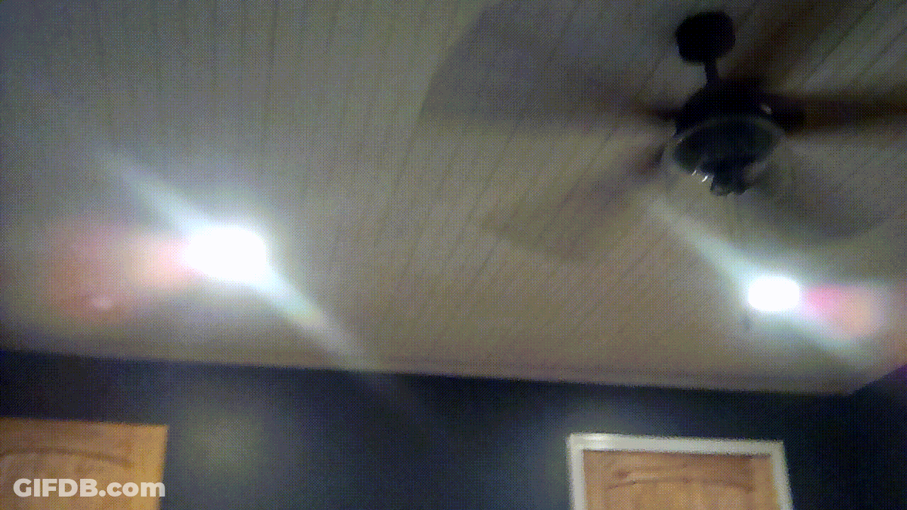 My Brother Being Sassy GIF