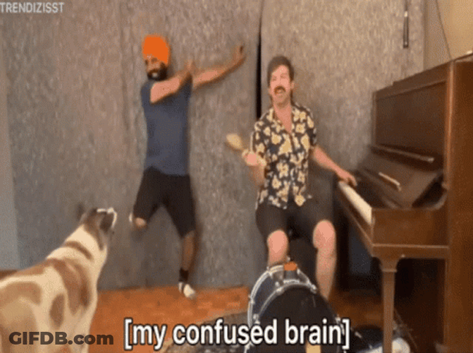 My Confused Adhd Brain GIF