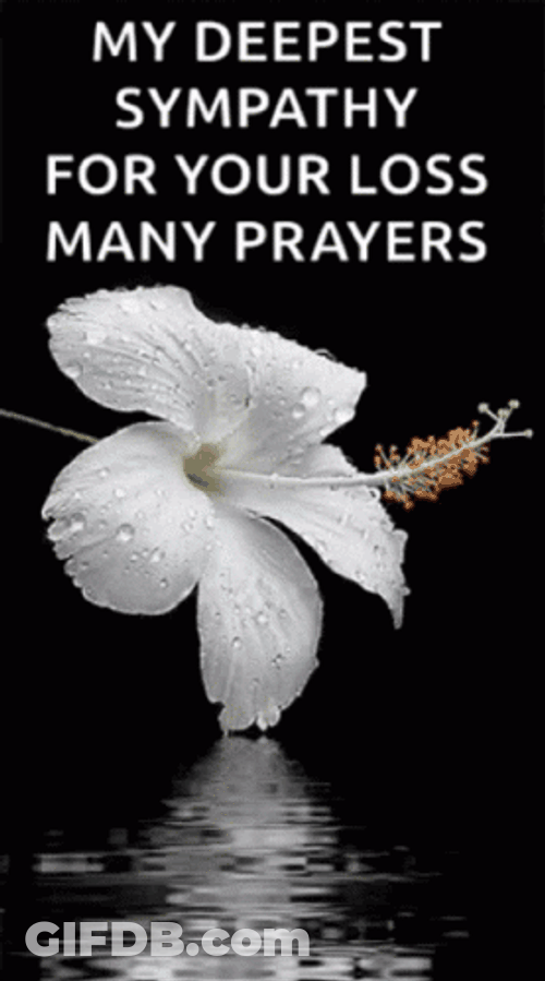 My Deepest Sympathy Condolence GIF