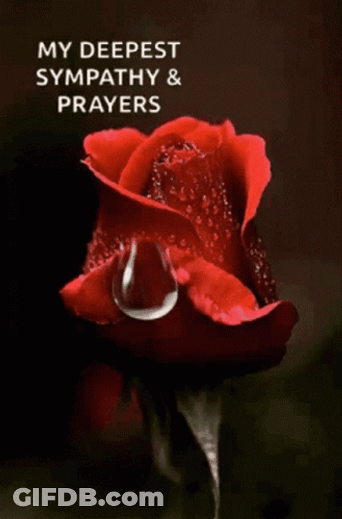 My Deepest Sympathy Prayersx GIF