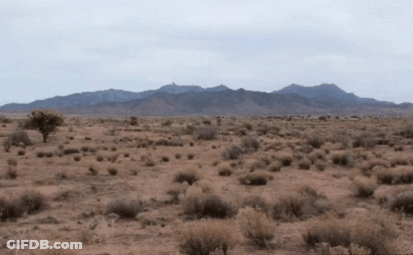 My Feelings For You Desert GIF