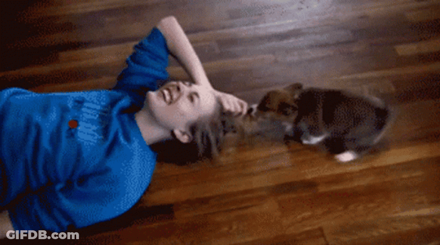 My Hair Pull By My Cat GIF