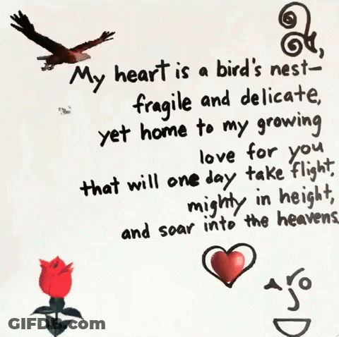 My Heart Is A Bird's Nest Fragile And Delicate GIF