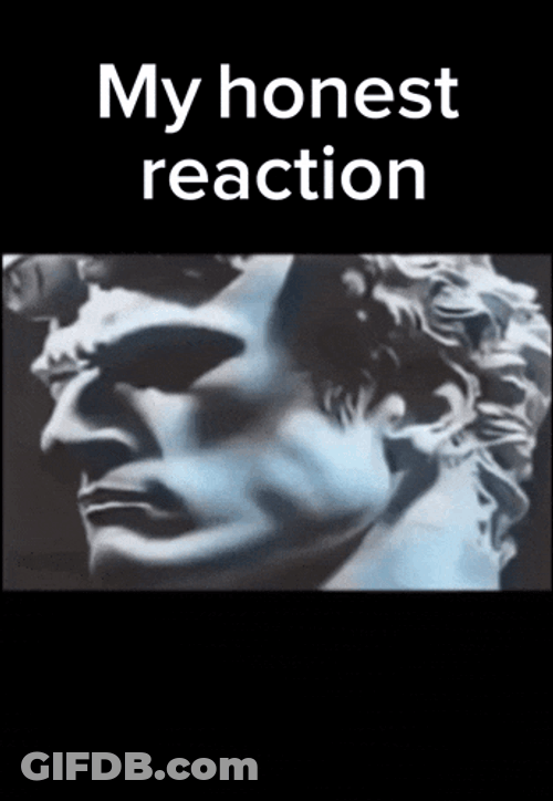 My Honest Reaction GIF