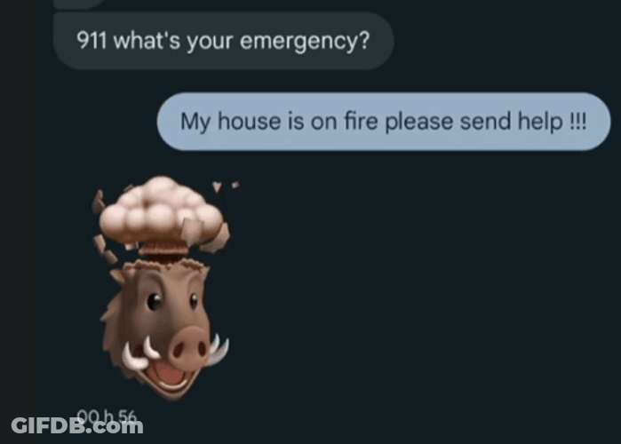 My House Is On Fire Send Help GIF