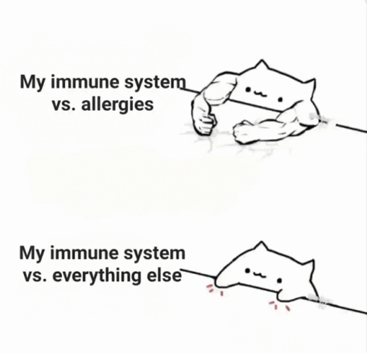 My Immune System Vs Allergies Cat Comparison GIF