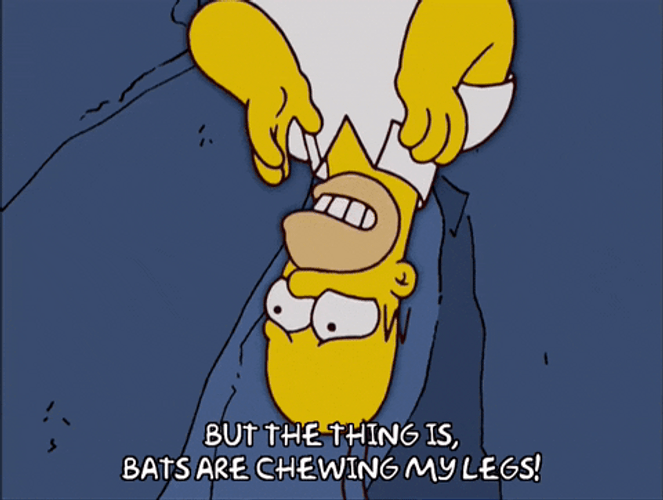 My Leg Upside Down Homer Simpson GIF