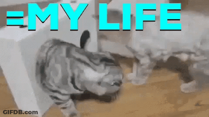 My Life Filled With Struggle GIF