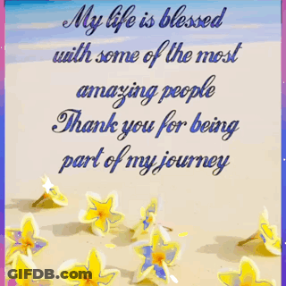 My Life Is Blessed With Amazing People GIF