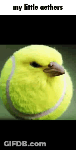 My Little Aethers Tennis Ball Bird GIF