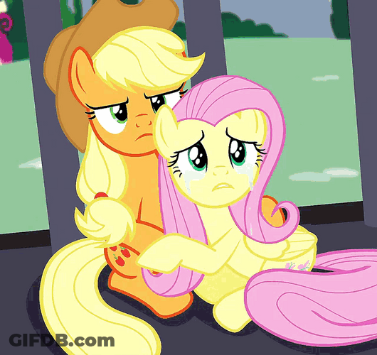 My Little Pony Applejack Fluttershy Crying Hug GIF