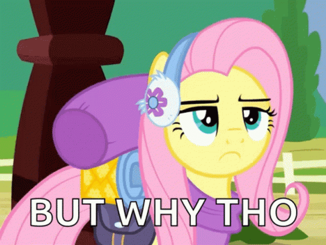 My Little Pony Fluttershy But Why GIF