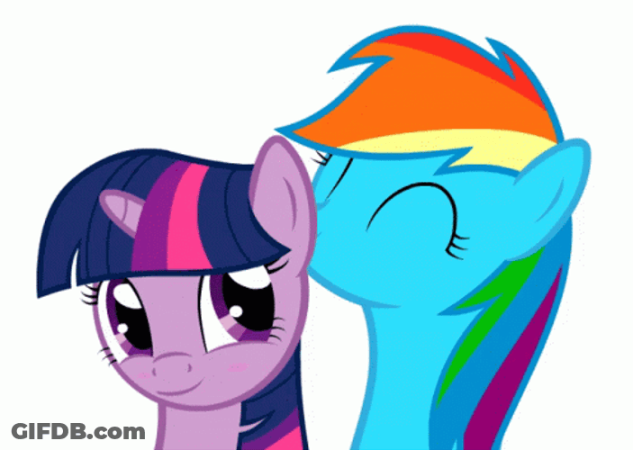 My Little Pony Rainbow Dash Twilight Sparkle Love GIF