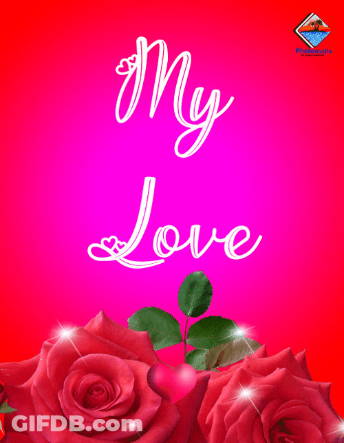 My Love Different Text GIF