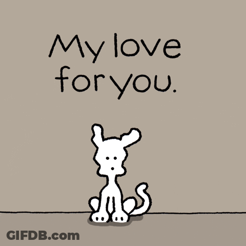 My Love For You Chippy The Dog GIF