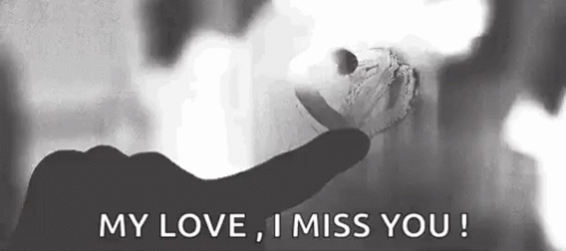 My Love I Miss You GIF