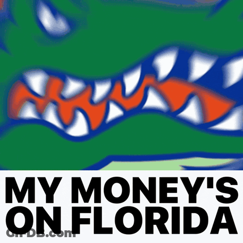 My Money's On Florida Alligator Poster GIF